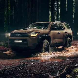 Fortuner